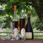 konferensaktiviter på wiredaholm - drinkar under träd