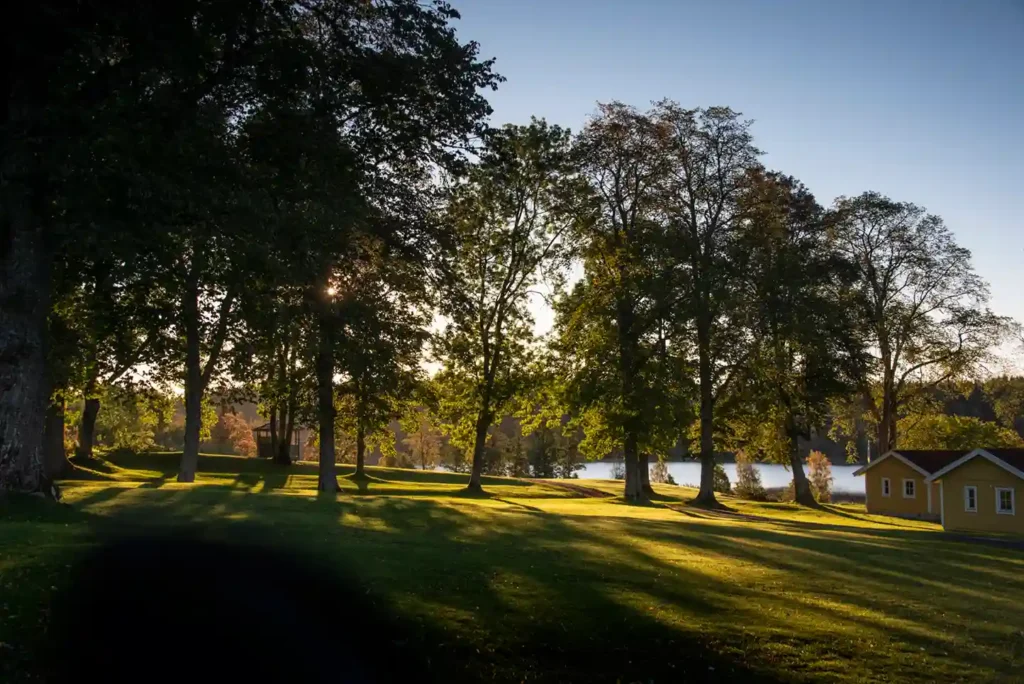 Hotell - Natur och boende på Wiredaholm
