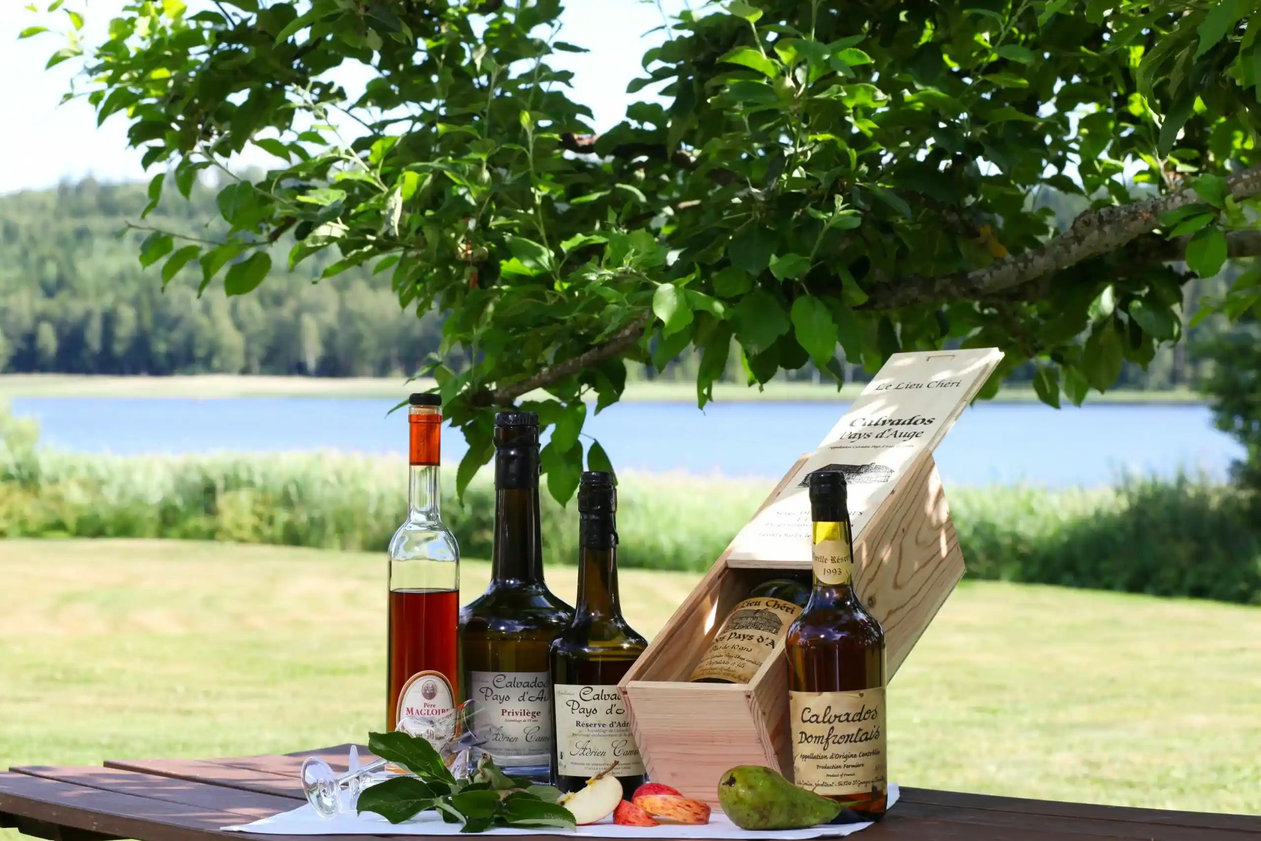Golfpaket - Drinks under tree with fruits