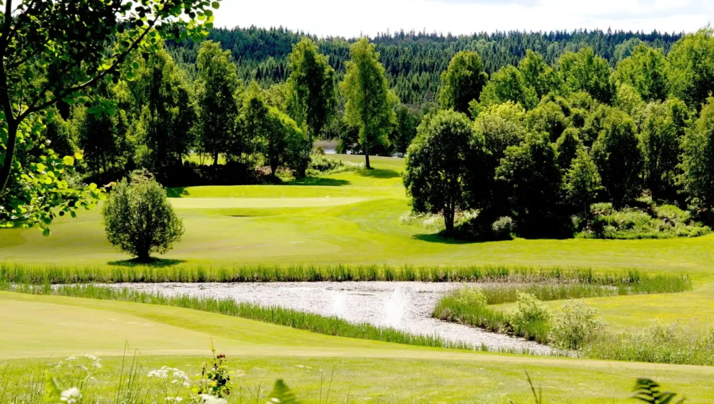 Kombinera golfrundan med konferens på Wiredaholm. Naturen är fantastiskt och ett stenkast fårn Viredaholmssjön som visas på bilden