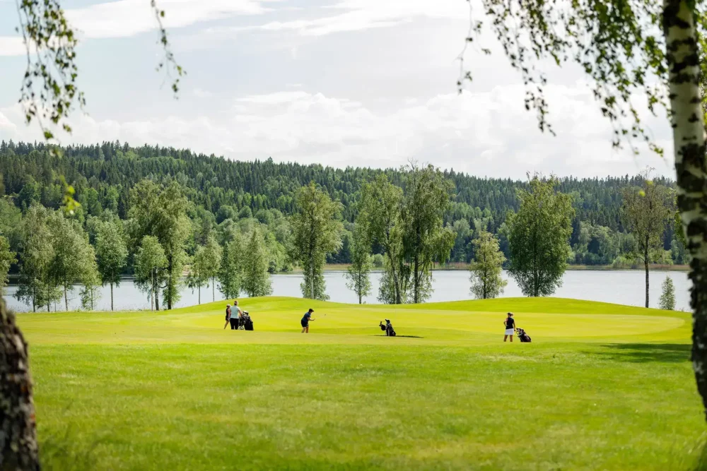 Fyra personer spelar golf i Småland på en sjönära bana omgiven av björkar.